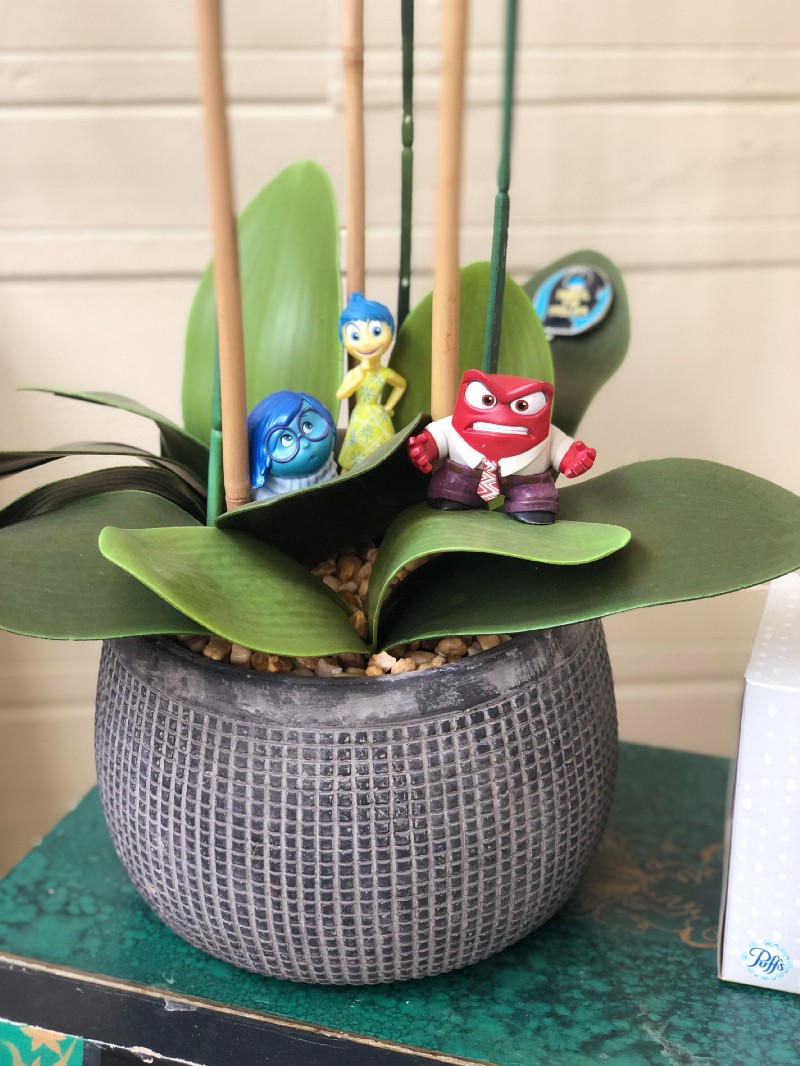 Disney's Inside Out Characters in an orchid plant