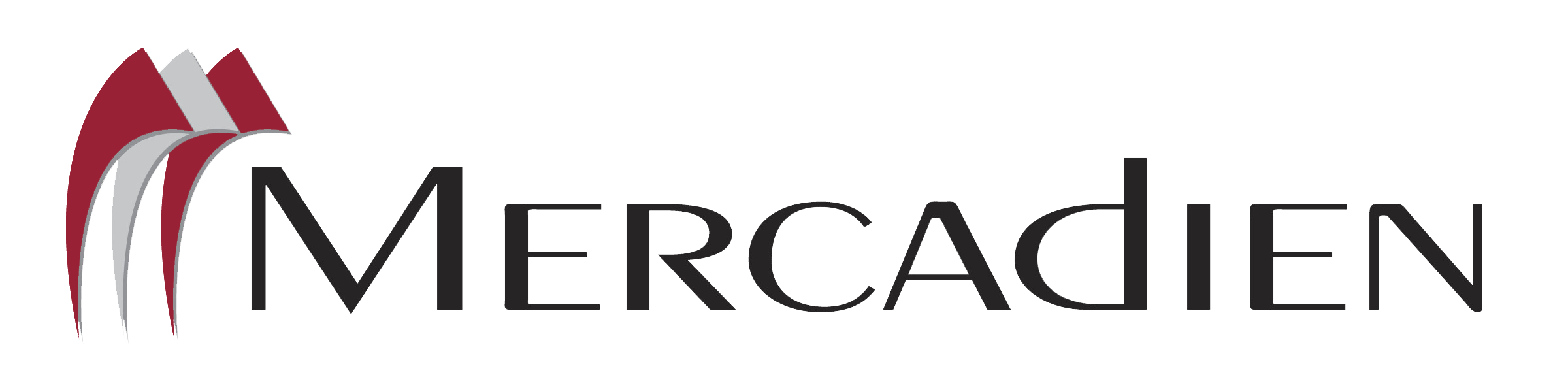 Mercadien Logo (1) (1)